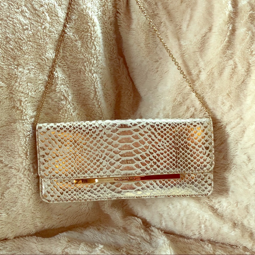 Antonio Melani clutch